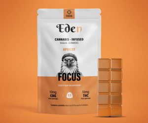 Effects-Focus-Orange Effects-Focus-Orange
